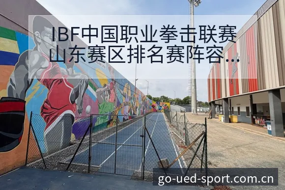 IBF中国职业拳击联赛山东赛区排名赛阵容变化及排名走势深 - UED体育