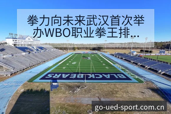 拳力向未来武汉首次举办WBO职业拳王排名变化趋势分析 - UED体育