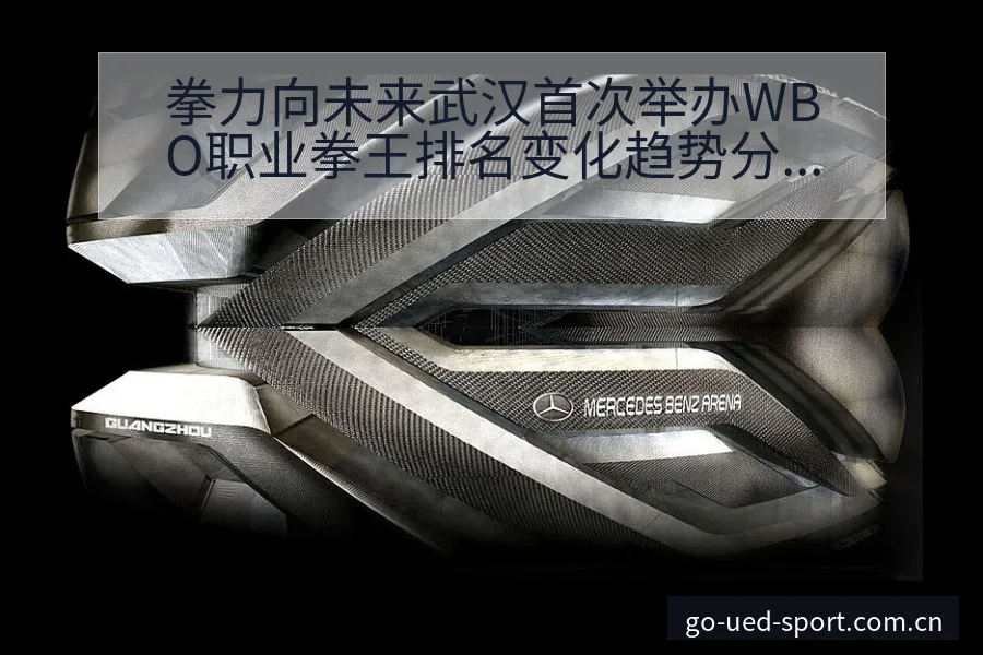 拳力向未来武汉首次举办WBO职业拳王排名变化趋势分析 - UED体育