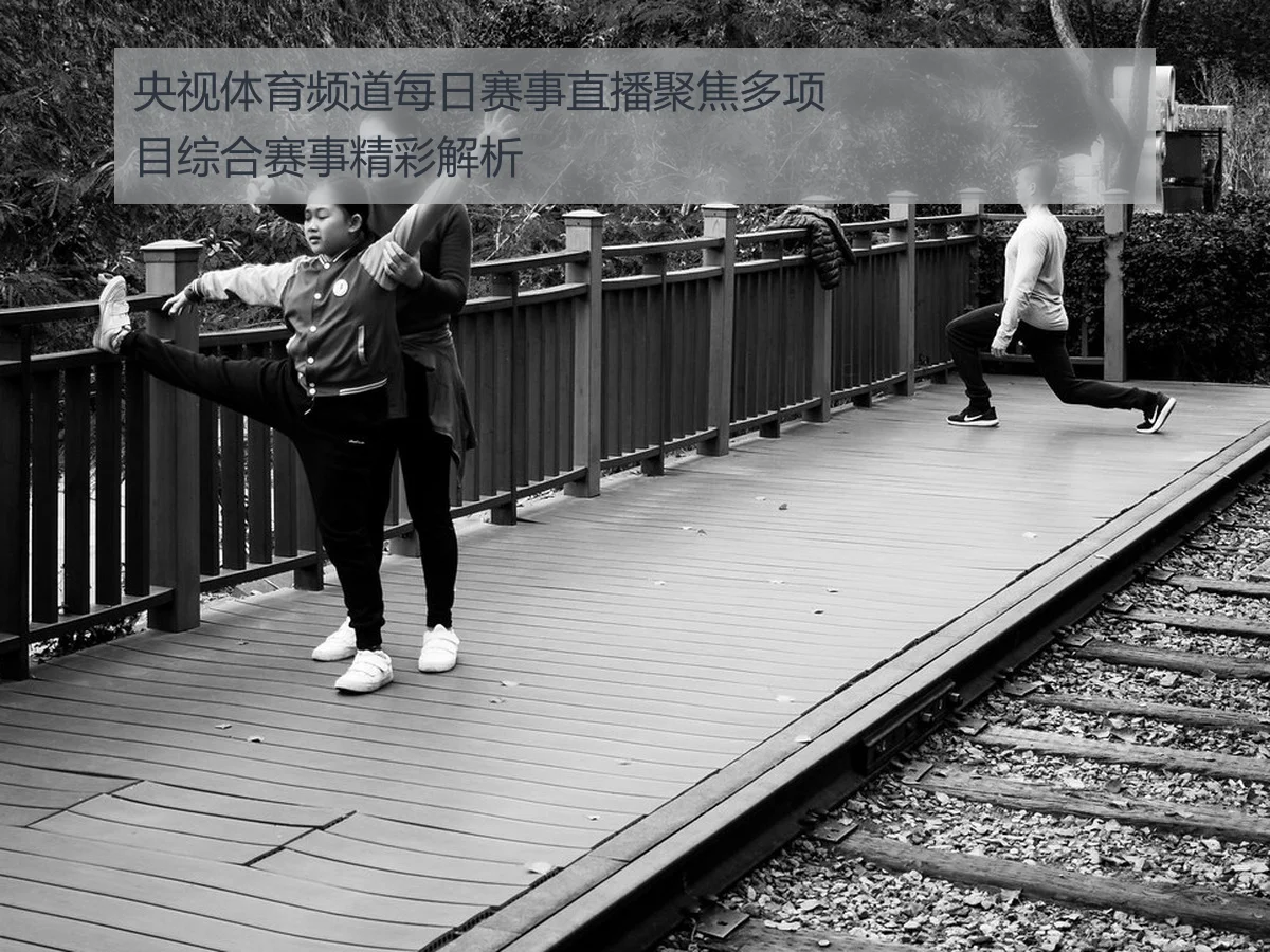 央视体育频道每日赛事直播聚焦多项目综合赛事精彩解析